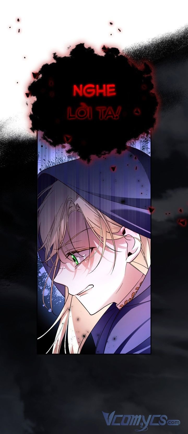 Phương Pháp Che Giấu Đứa Con Của Hoàng Đế: Chapter 38.5