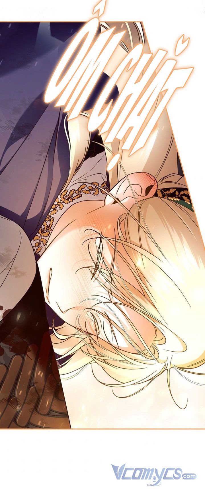 Phương Pháp Che Giấu Đứa Con Của Hoàng Đế: Chapter 40.5