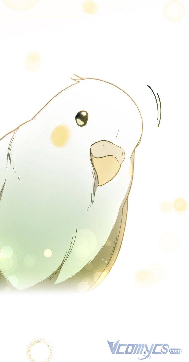 Phương Pháp Làm Chồng Hướng Về Phía Em: Chapter 56