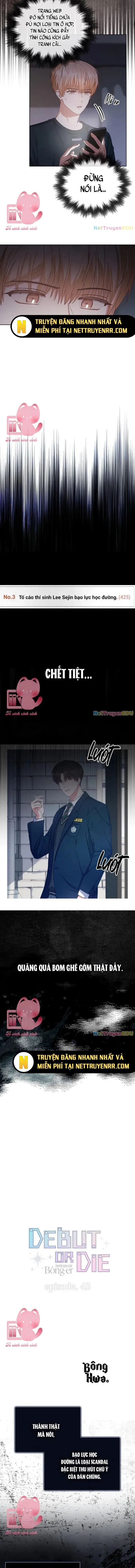 Ra Mắt Hay Ra Đi: Chapter 43