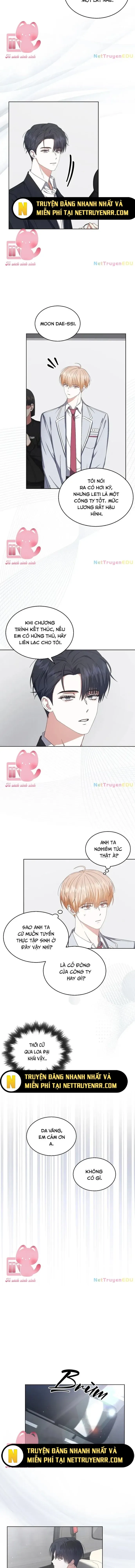 Ra Mắt Hay Ra Đi: Chapter 52