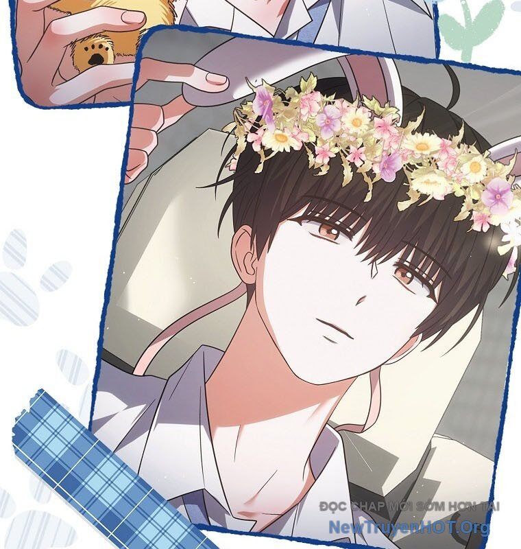 Ra Mắt Hay Ra Đi: Chapter 79