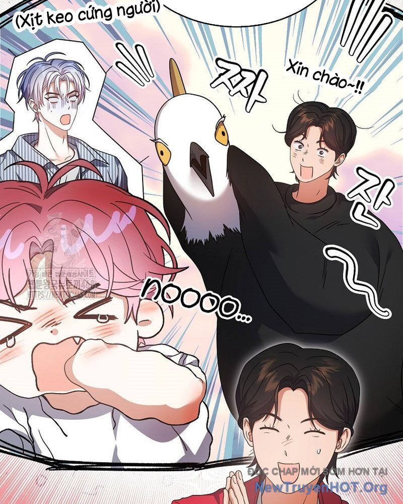 Ra Mắt Hay Ra Đi: Chapter 80