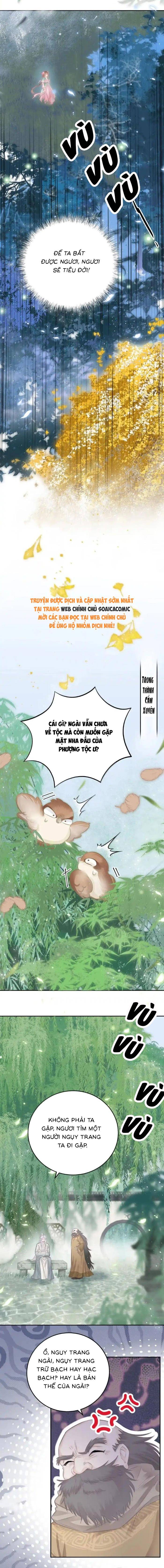 Rắn Cưng Của Ta Lại Làm Trò: Chapter 38