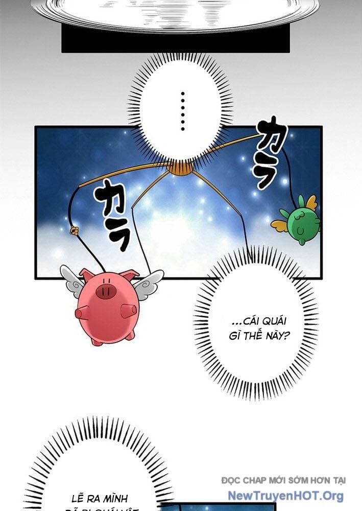 Ranker Sss Được Chọn: Chapter 1