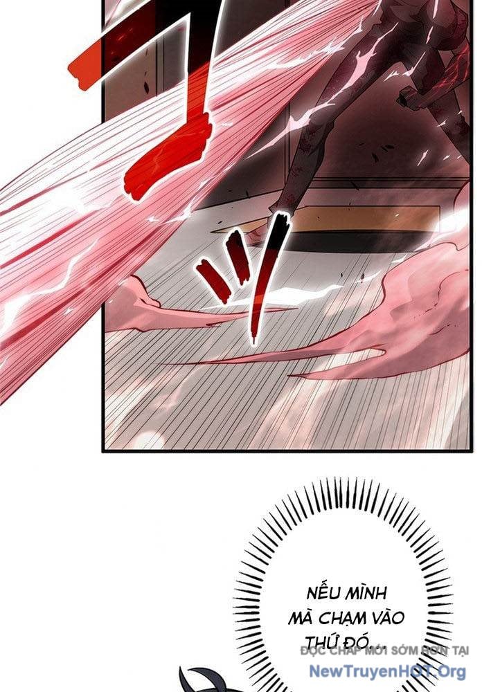 Ranker Sss Được Chọn: Chapter 1