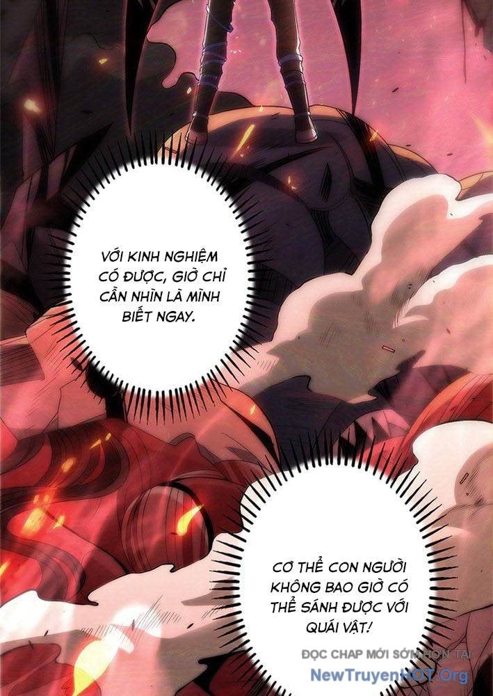 Ranker Sss Được Chọn: Chapter 1