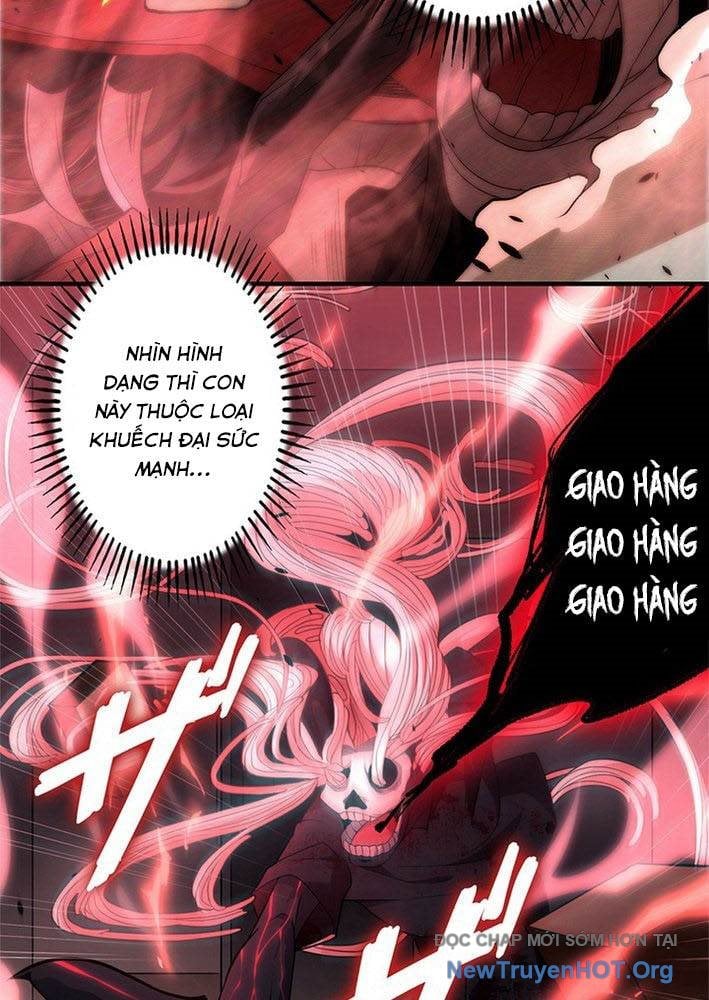 Ranker Sss Được Chọn: Chapter 1