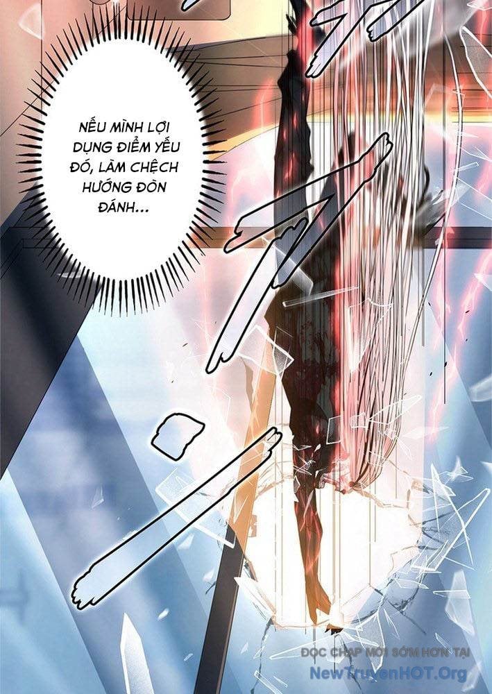 Ranker Sss Được Chọn: Chapter 1