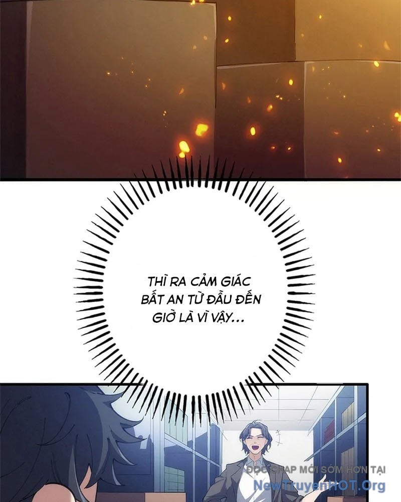 Ranker Sss Được Chọn: Chapter 11