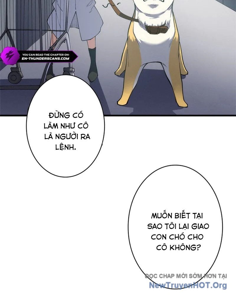 Ranker Sss Được Chọn: Chapter 11