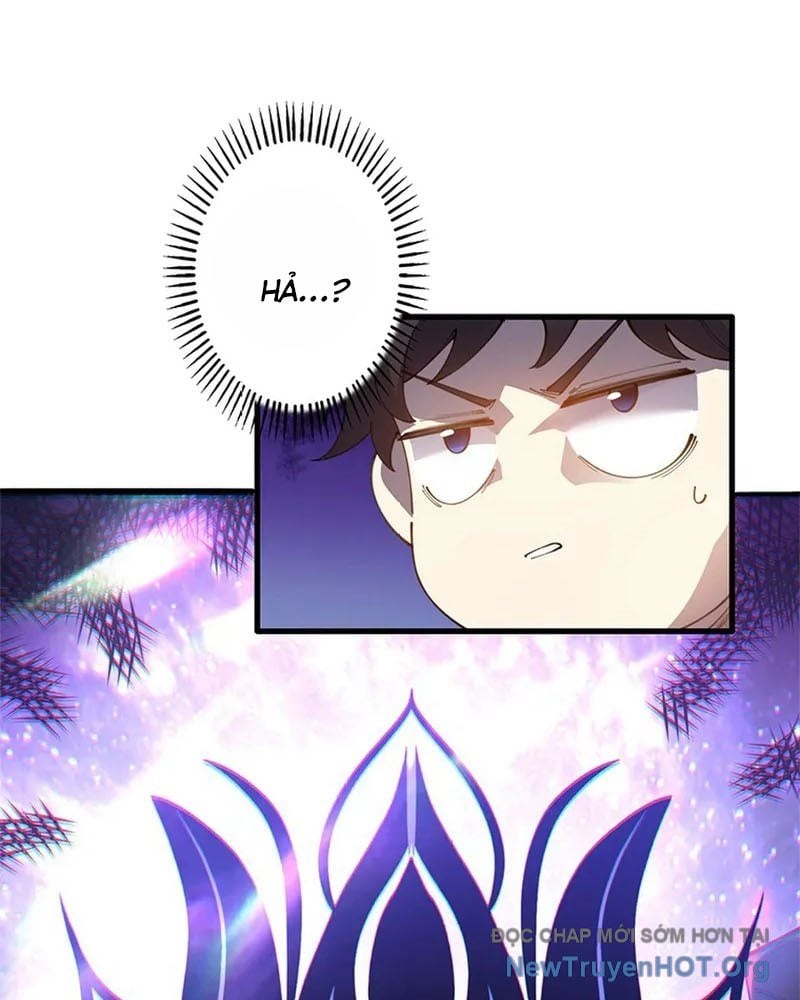 Ranker Sss Được Chọn: Chapter 11