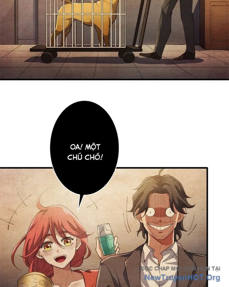 Ranker Sss Được Chọn: Chapter 11