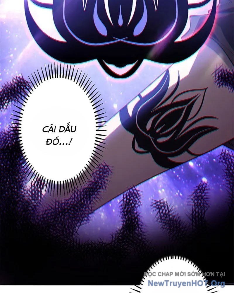 Ranker Sss Được Chọn: Chapter 11