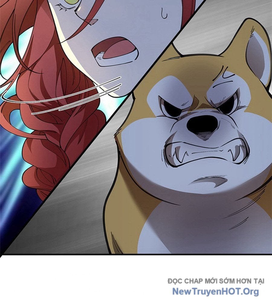 Ranker Sss Được Chọn: Chapter 12