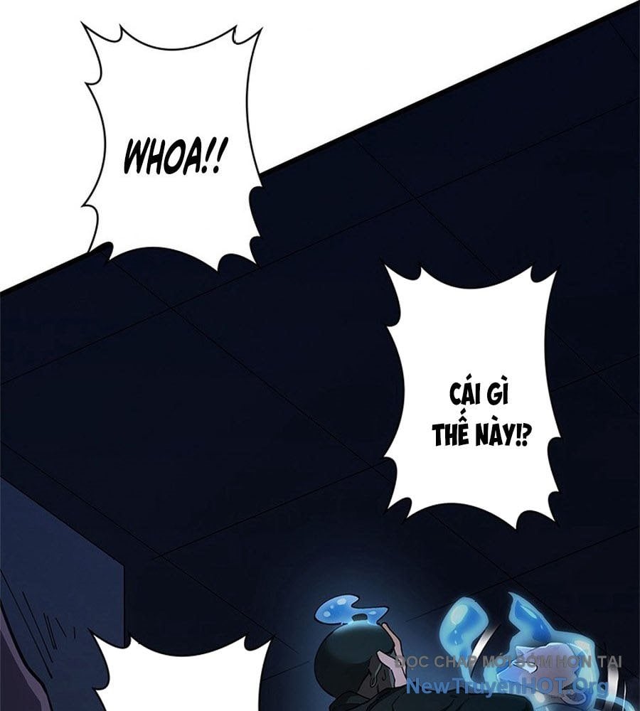 Ranker Sss Được Chọn: Chapter 12