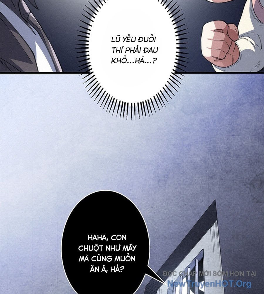 Ranker Sss Được Chọn: Chapter 12