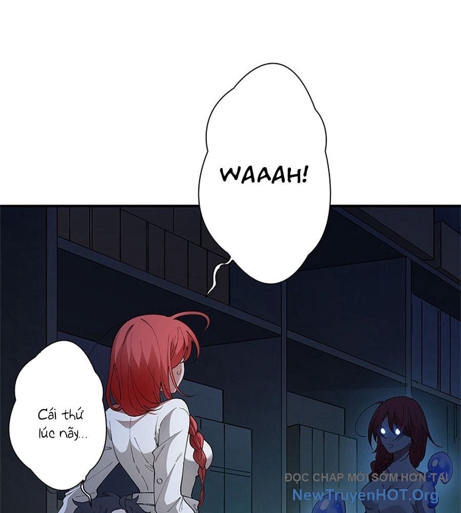 Ranker Sss Được Chọn: Chapter 13