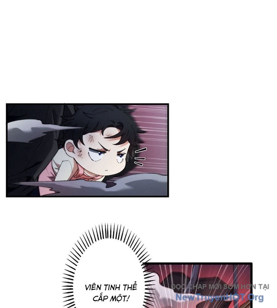 Ranker Sss Được Chọn: Chapter 13