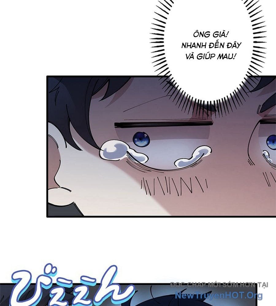 Ranker Sss Được Chọn: Chapter 13