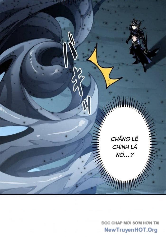 Ranker Sss Được Chọn: Chapter 15