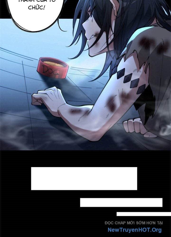 Ranker Sss Được Chọn: Chapter 2