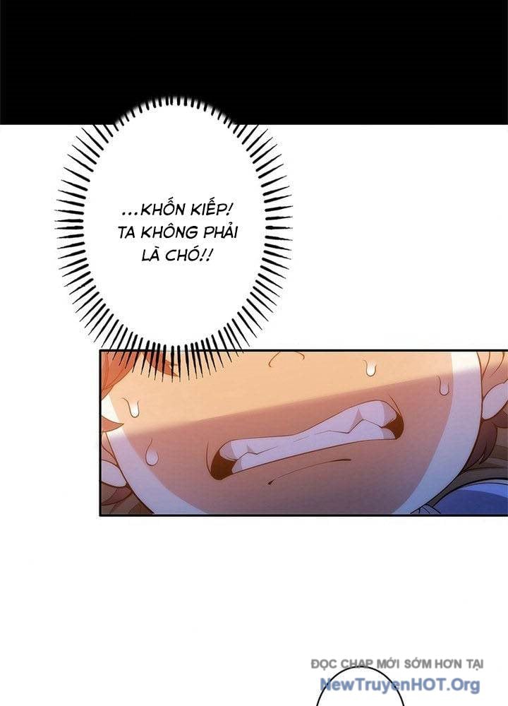 Ranker Sss Được Chọn: Chapter 2