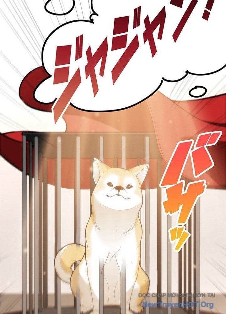 Ranker Sss Được Chọn: Chapter 2