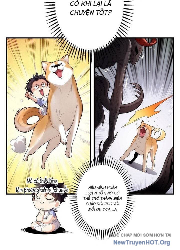 Ranker Sss Được Chọn: Chapter 2