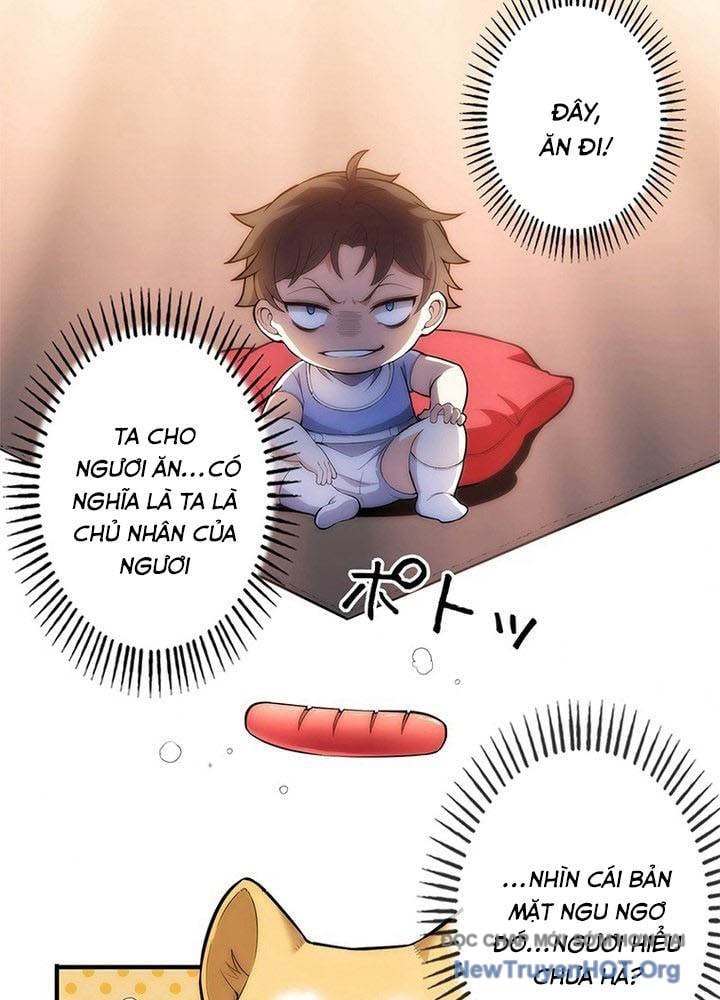 Ranker Sss Được Chọn: Chapter 2