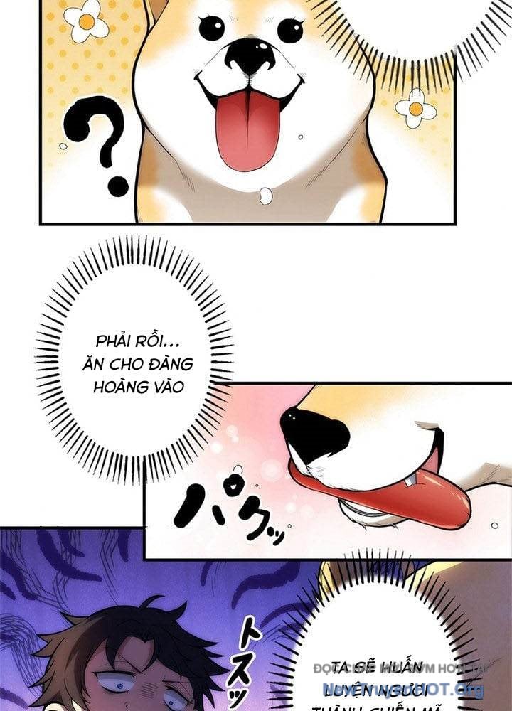 Ranker Sss Được Chọn: Chapter 2