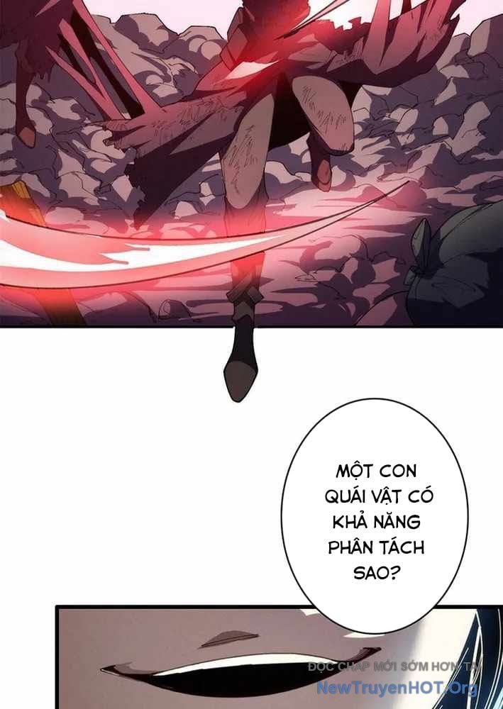 Ranker Sss Được Chọn: Chapter 22