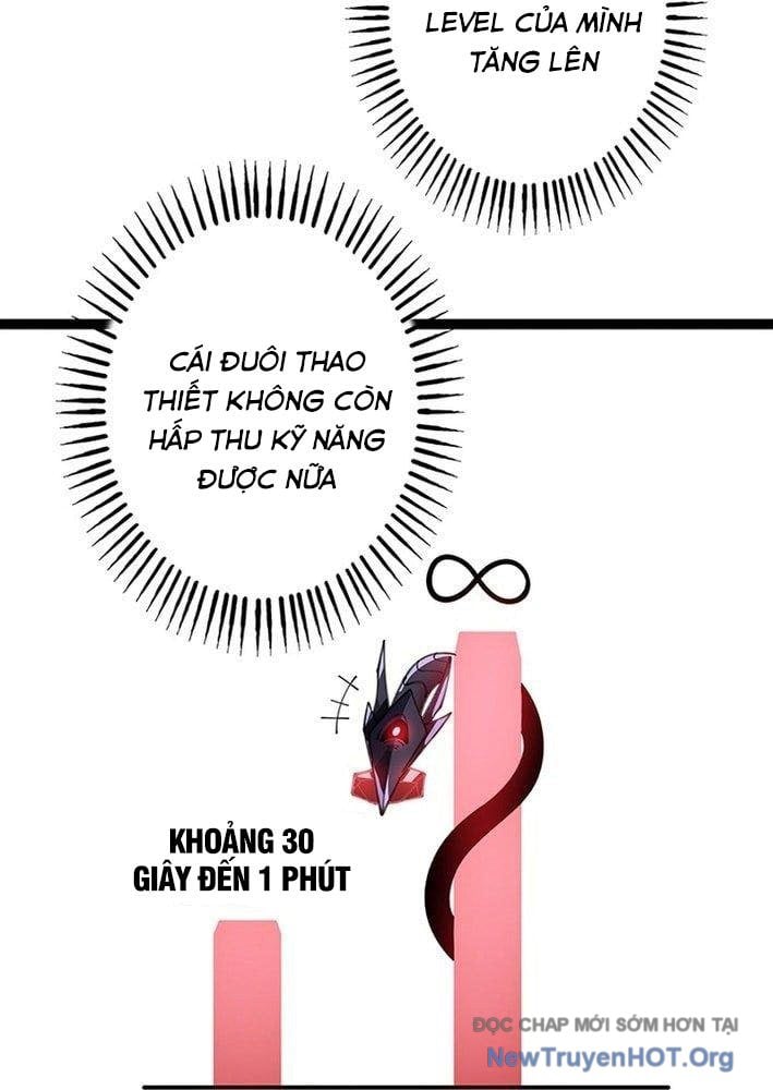 Ranker Sss Được Chọn: Chapter 26