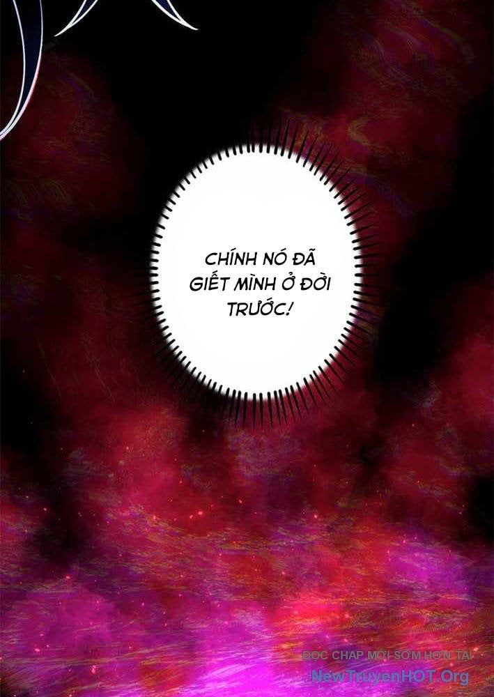 Ranker Sss Được Chọn: Chapter 29