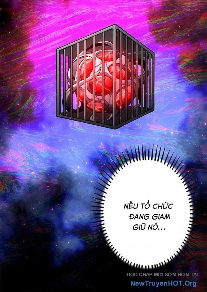 Ranker Sss Được Chọn: Chapter 29