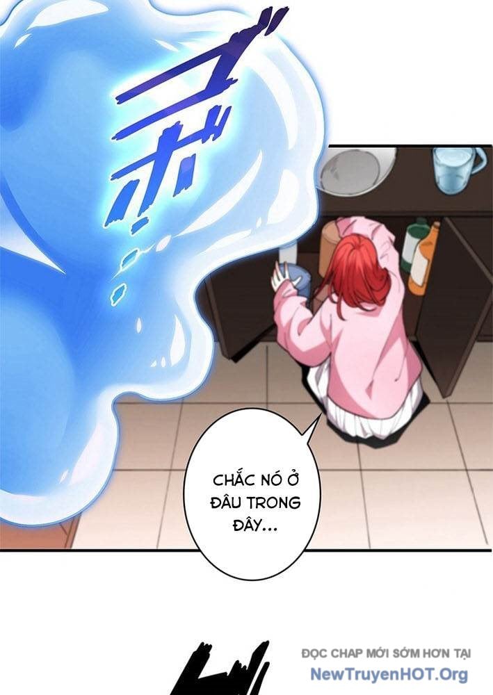 Ranker Sss Được Chọn: Chapter 3