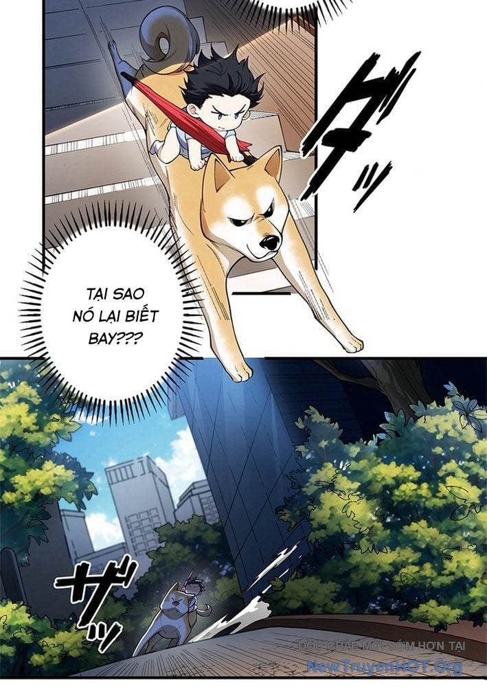 Ranker Sss Được Chọn: Chapter 3