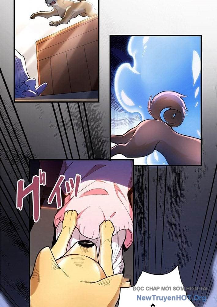 Ranker Sss Được Chọn: Chapter 3