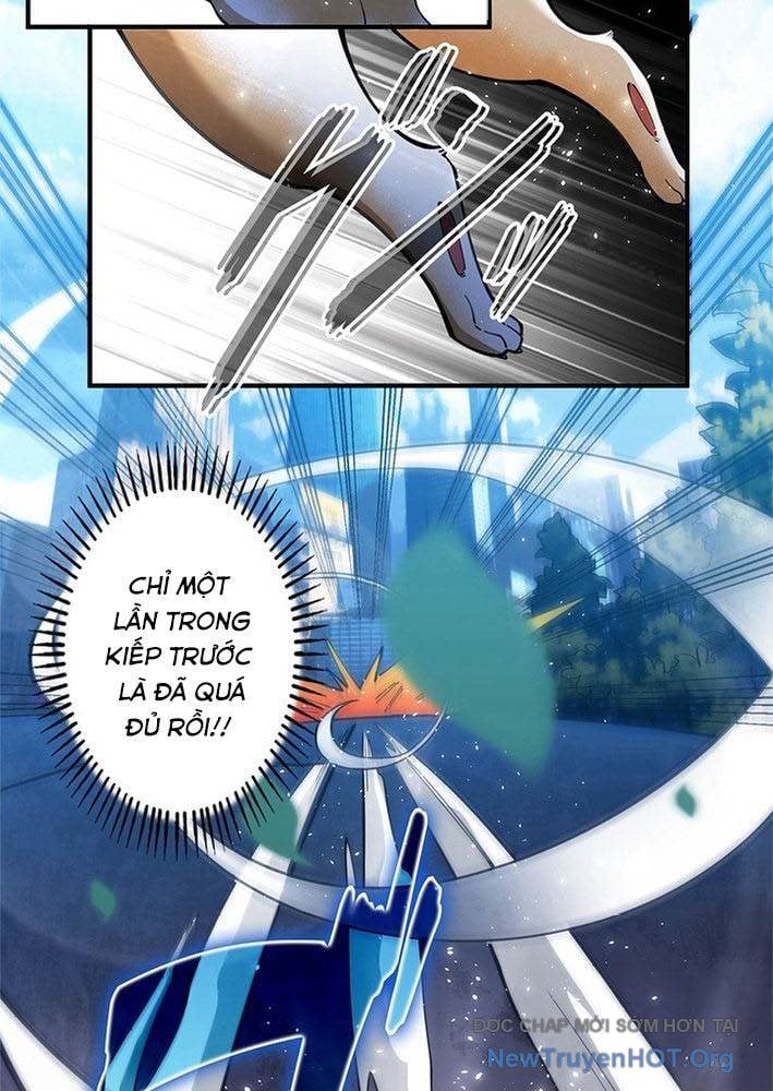 Ranker Sss Được Chọn: Chapter 3