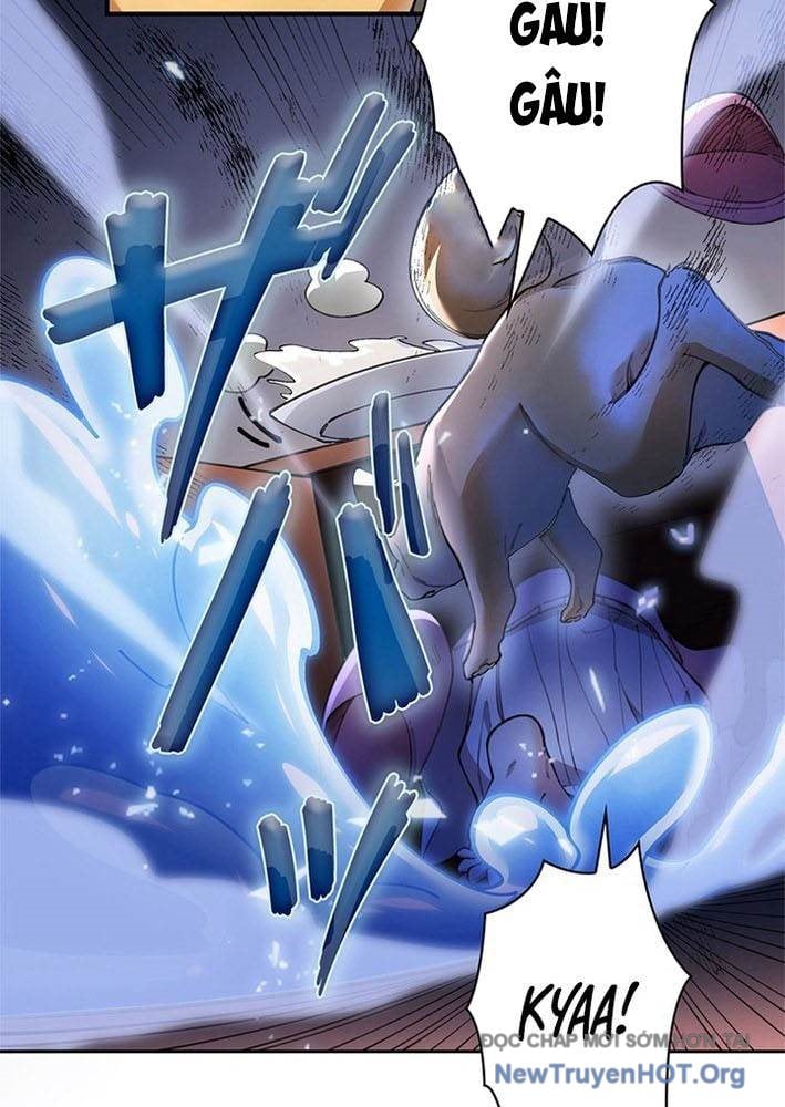 Ranker Sss Được Chọn: Chapter 3