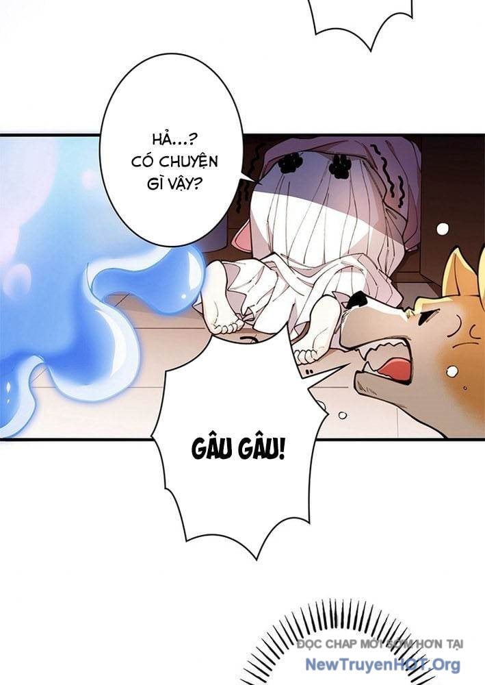 Ranker Sss Được Chọn: Chapter 3