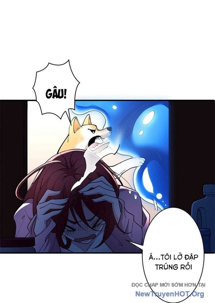 Ranker Sss Được Chọn: Chapter 3