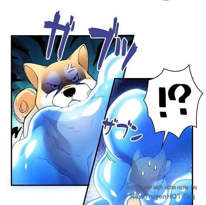 Ranker Sss Được Chọn: Chapter 3