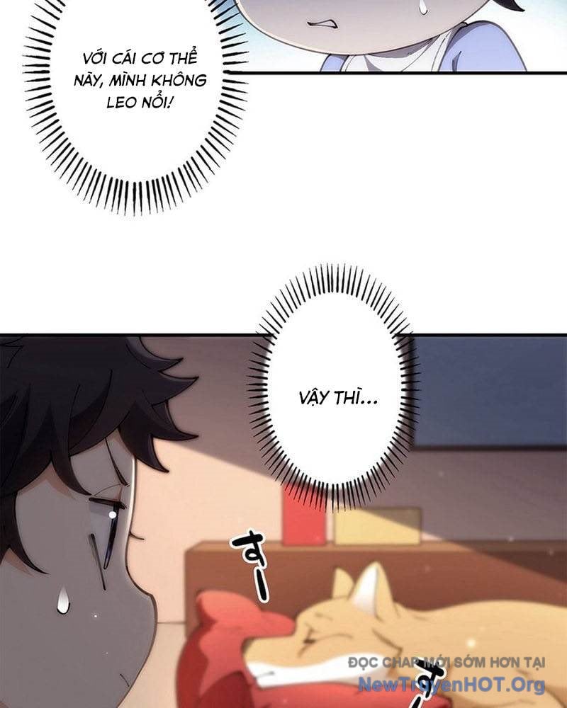 Ranker Sss Được Chọn: Chapter 5