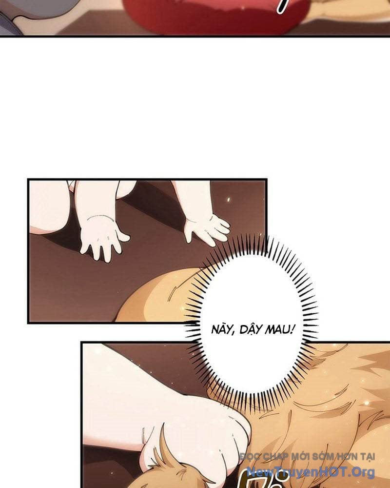 Ranker Sss Được Chọn: Chapter 5