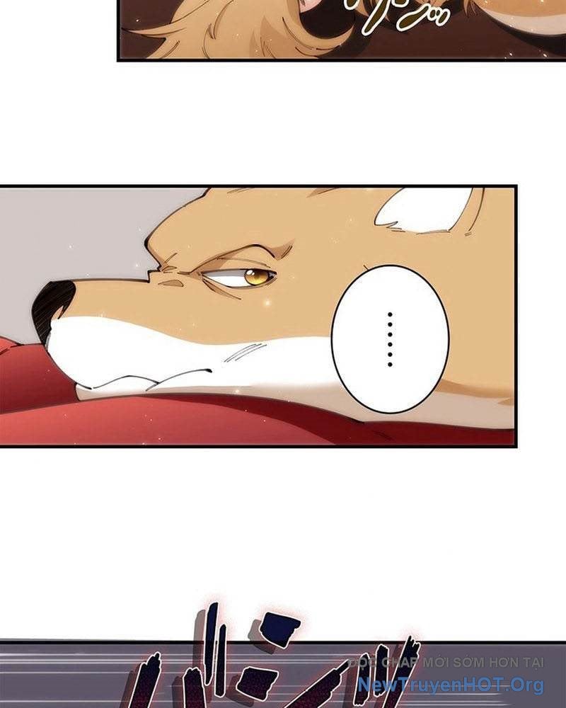 Ranker Sss Được Chọn: Chapter 5