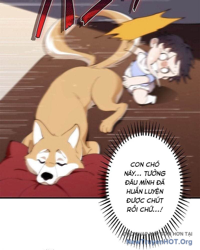 Ranker Sss Được Chọn: Chapter 5