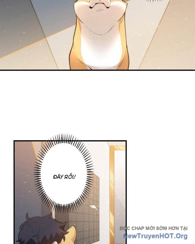 Ranker Sss Được Chọn: Chapter 5