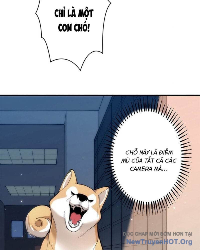 Ranker Sss Được Chọn: Chapter 5