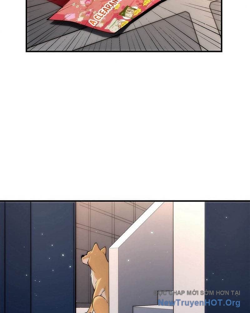 Ranker Sss Được Chọn: Chapter 5